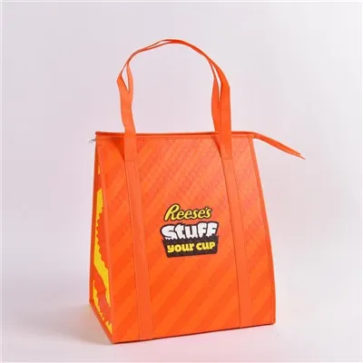 Premium -Thermalkühlertaschen
